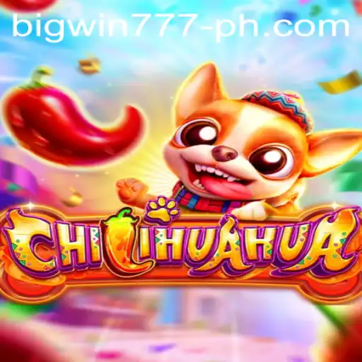 The Thrilling World of CHILIHUAHUA and Bigwin777